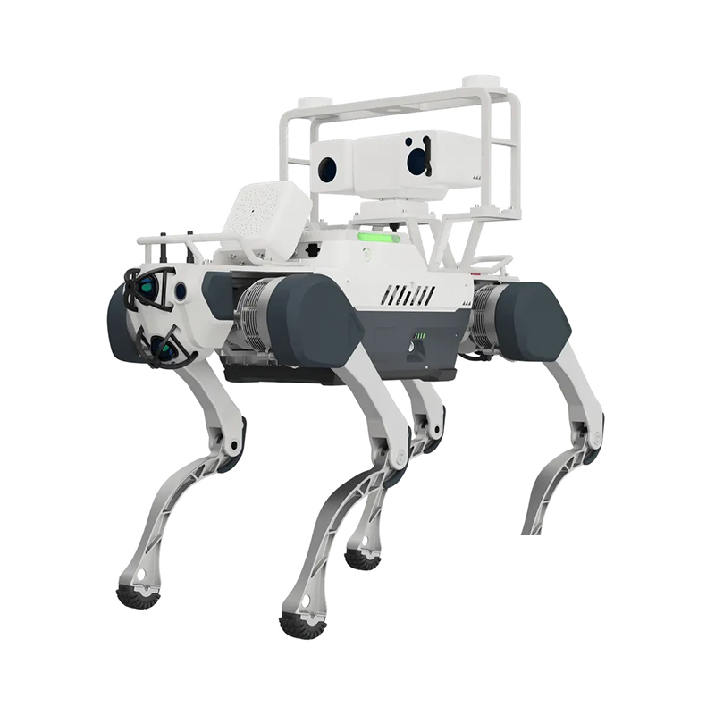 F22 ���������